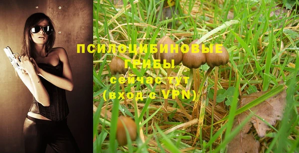кокаин колумбия Иннополис
