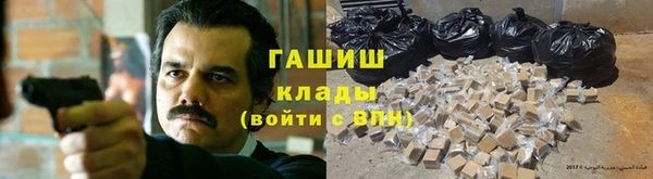 apvp Инсар