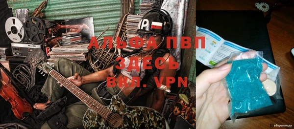 apvp Инсар
