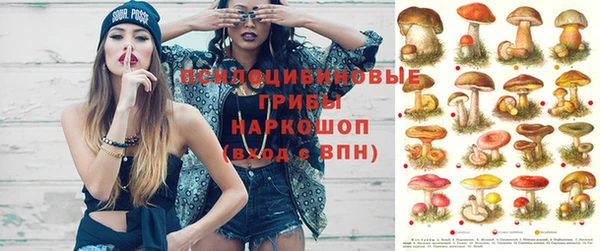 кокс Инта