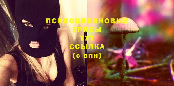 МДМА Каменка
